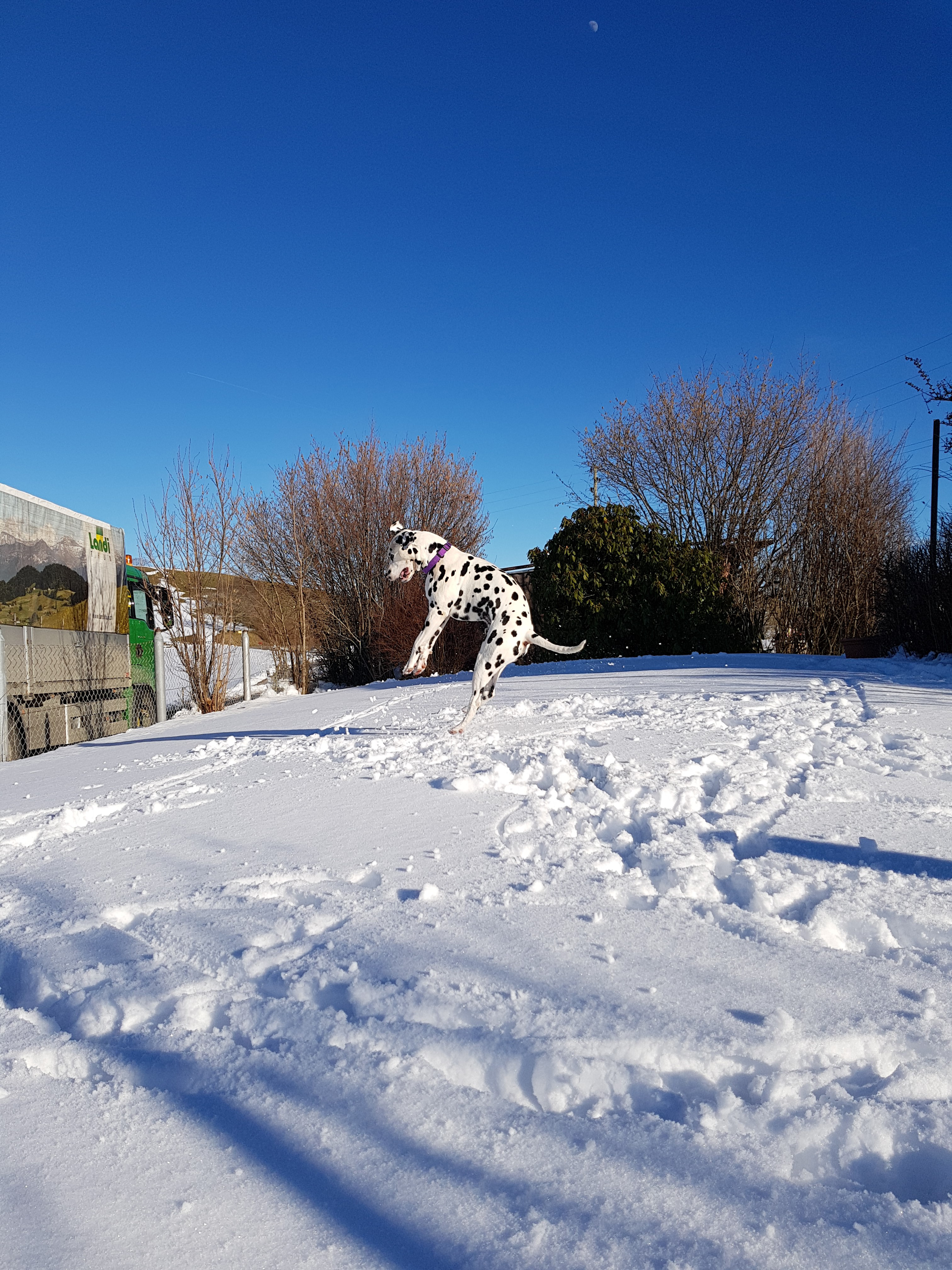 Giaro Schnee